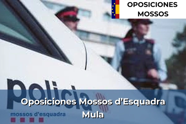Oposiciones Mossos d’Esquadra en Murcia 56 Oposiciones Mossos d’Esquadra en Mula